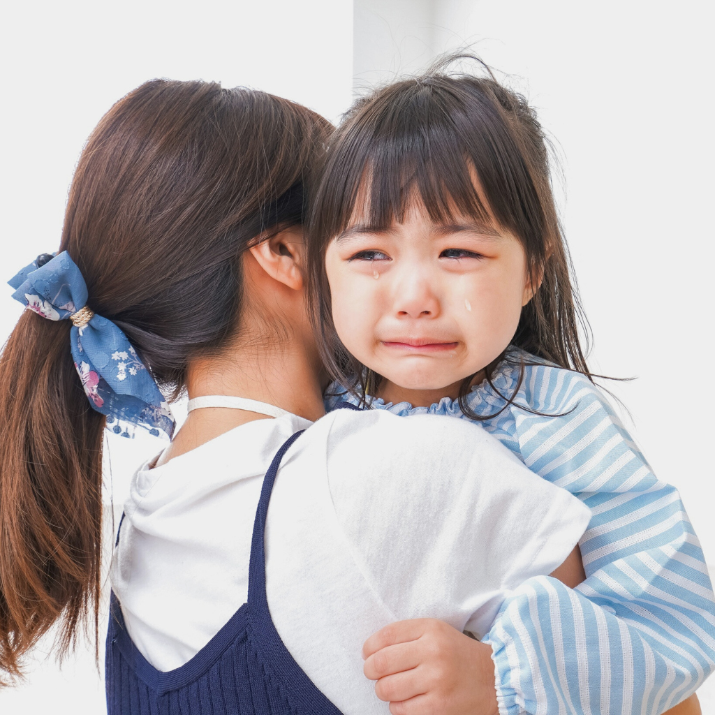 Webinar: Soothing the Storm – Co-Regulation Tools for Caregivers