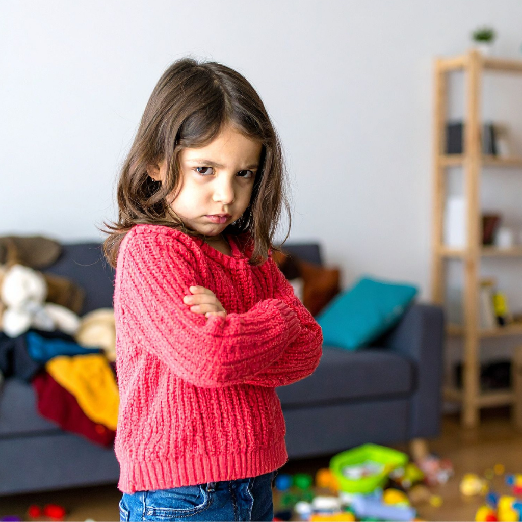 Webinar: Understanding Aggression at Home